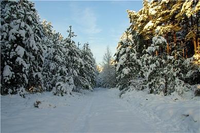 曝《刺客信条：影》DLC将于9月发布 合作模式明年上线